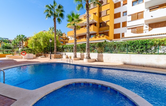 Herverkoop - Appartement / flat - Punta Prima