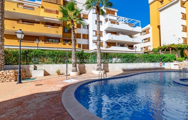 Herverkoop - Appartement / flat - Punta Prima