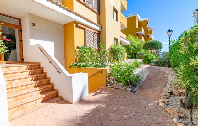 Herverkoop - Appartement / flat - Punta Prima