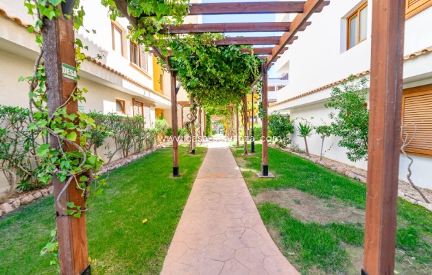 Herverkoop - Appartement / flat - Punta Prima