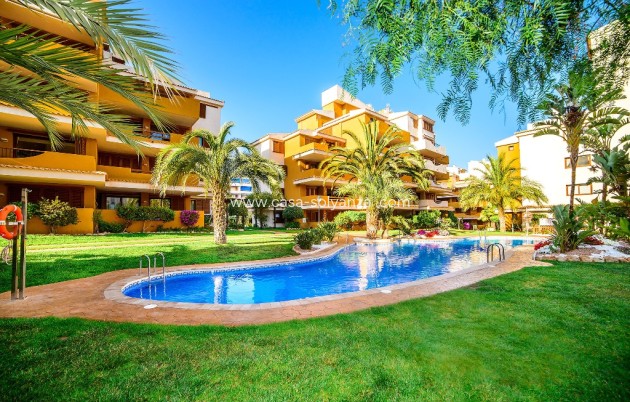 Herverkoop - Appartement / flat - Punta Prima