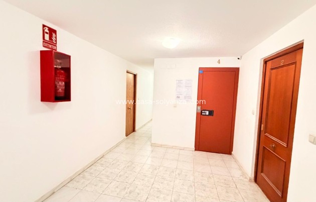 Herverkoop - Appartement / flat - Torrevieja - Center