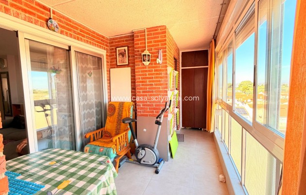 Herverkoop - Appartement / flat - Torrevieja - Playa De Los Naufragos