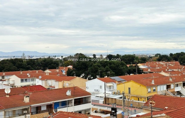 Herverkoop - Appartement / flat - Torrevieja - Playa De Los Naufragos