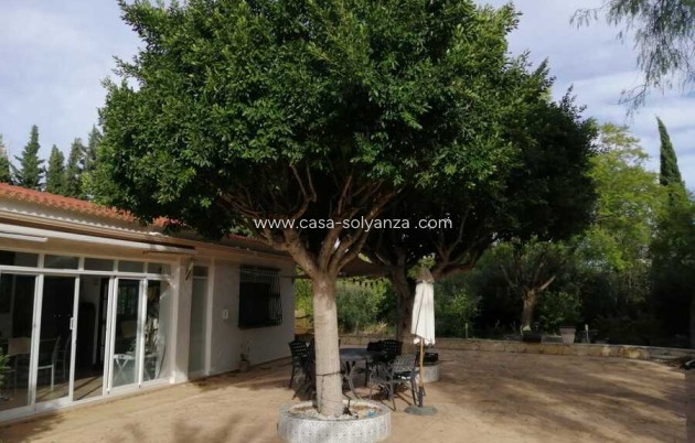 Revente - Country Property/Finca - Crevillente - Inland