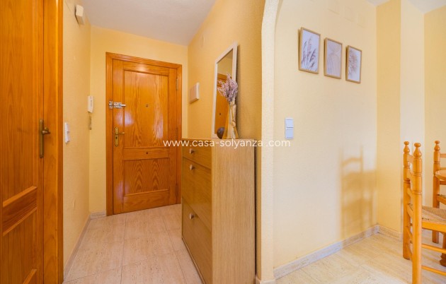 Herverkoop - Appartement / flat - Torrevieja - Playa del Cura