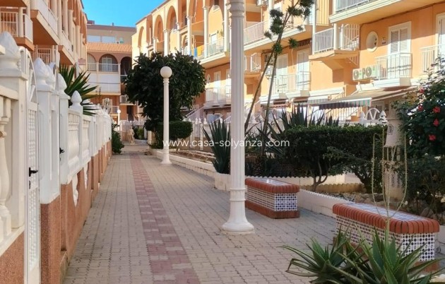 Herverkoop - Appartement / flat - Torrevieja - Gaspar Perrelló
