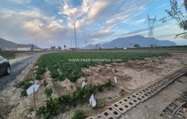 Herverkoop - Country Property/Finca - Orihuela - Casco Histórico