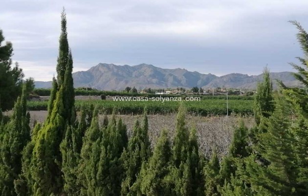 Revente - Country Property/Finca - Crevillente - Inland