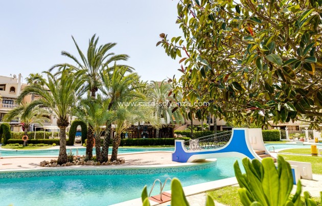 Herverkoop - Appartement / flat - Torrevieja - Playa de los Locos