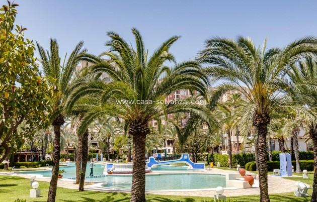 Herverkoop - Appartement / flat - Torrevieja - Playa de los Locos