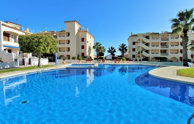 Herverkoop - Appartement / flat - Playa Flamenca