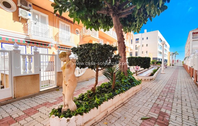 Wiederverkauf - Wohnung - Torrevieja - Costa Blanca
