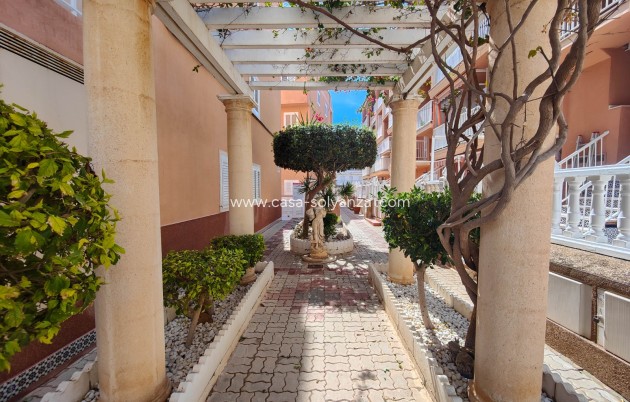 Wiederverkauf - Wohnung - Torrevieja - Costa Blanca