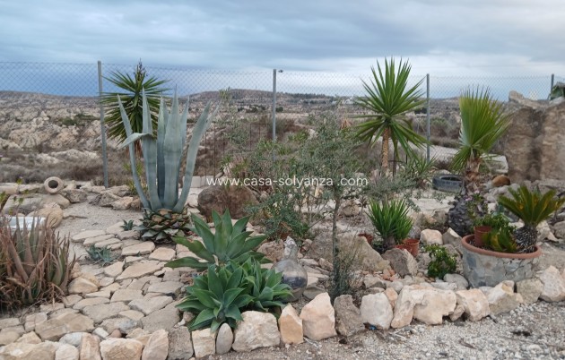 Revente - Villa - Albudeite - Inland