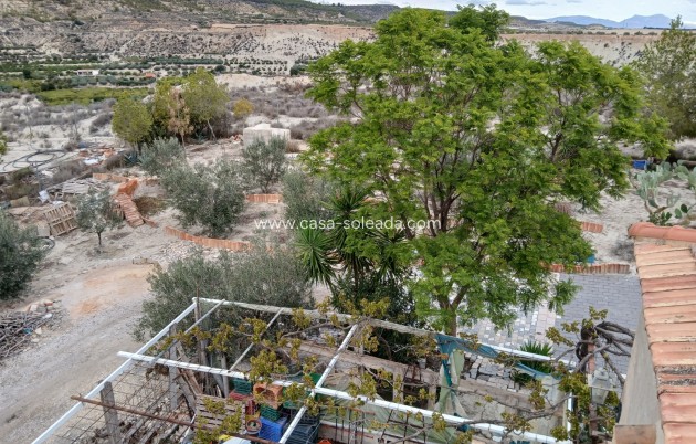 Revente - Villa - Albudeite - Inland