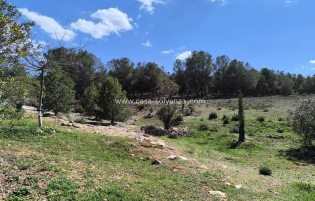 Herverkoop - Country Property/Finca - Villena - Inland