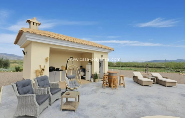 Herverkoop - Villa - Pinoso - Inland