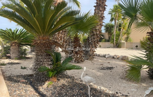 Herverkoop - Finca / Country Property - Abanilla