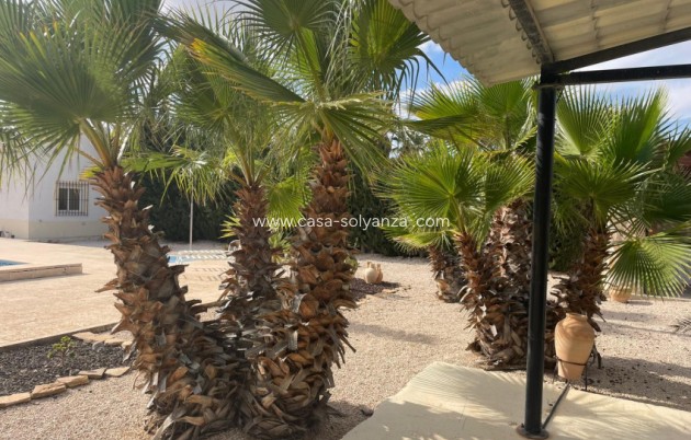 Herverkoop - Finca / Country Property - Abanilla