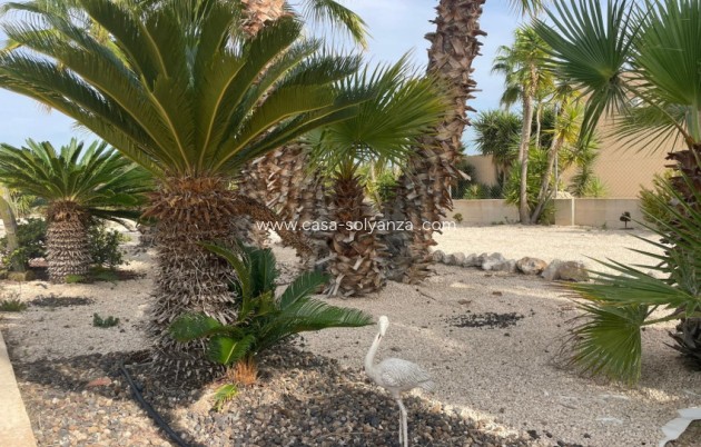 Herverkoop - Finca / Country Property - Abanilla