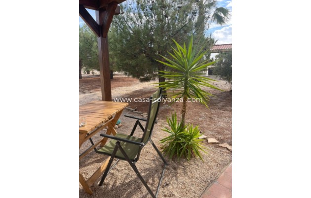 Herverkoop - Finca / Country Property - Abanilla