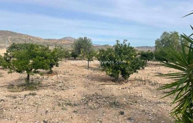 Herverkoop - Finca / Country Property - Abanilla