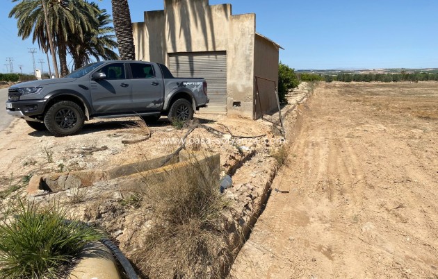 Wiederverkauf - Land - San Miguel de Salinas - San Miguel Salinas