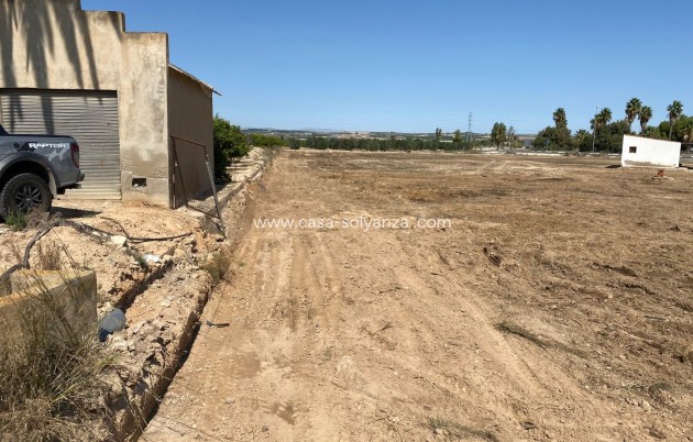 Wiederverkauf - Land - San Miguel de Salinas - San Miguel Salinas