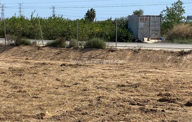 Wiederverkauf - Land - San Miguel de Salinas - San Miguel Salinas