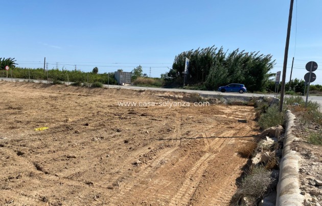 Wiederverkauf - Land - San Miguel de Salinas - San Miguel Salinas