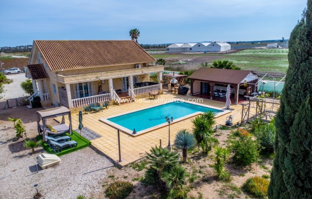 Herverkoop - Country Property/Finca - Crevillente - Crevillent