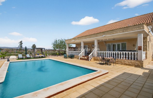 Herverkoop - Country Property/Finca - Crevillente - Crevillent