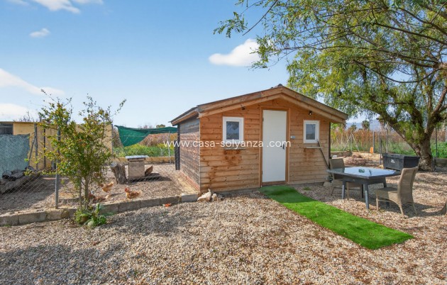 Herverkoop - Country Property/Finca - Crevillente - Crevillent