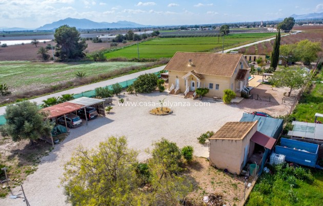 Herverkoop - Country Property/Finca - Crevillente - Crevillent