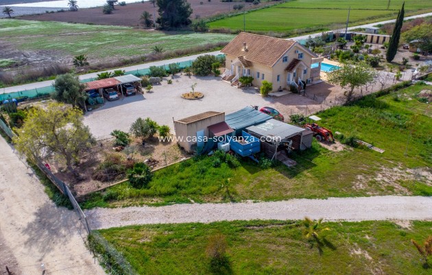 Herverkoop - Country Property/Finca - Crevillente - Crevillent