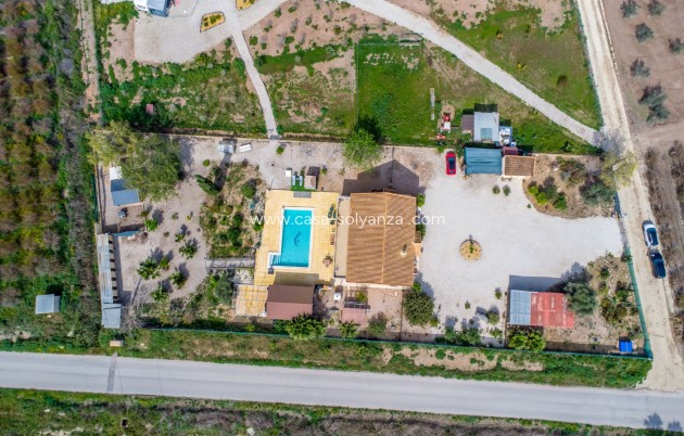 Herverkoop - Country Property/Finca - Crevillente - Crevillent