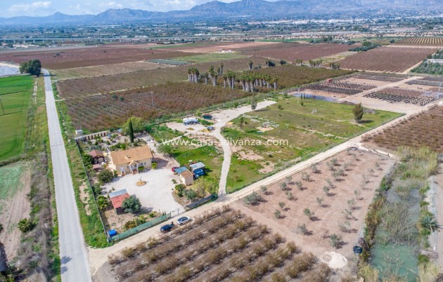 Herverkoop - Country Property/Finca - Crevillente - Crevillent