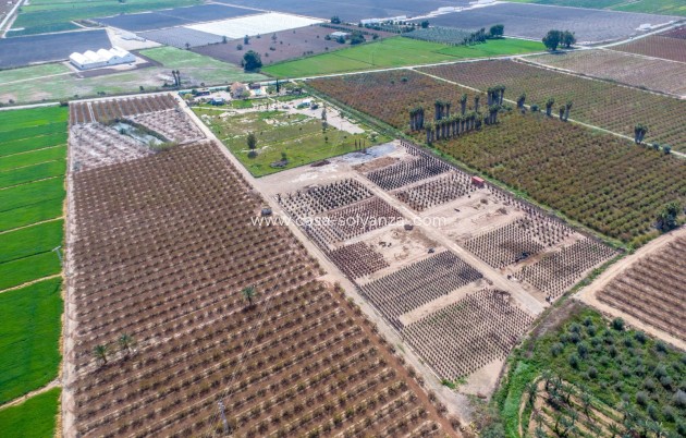 Herverkoop - Country Property/Finca - Crevillente - Crevillent