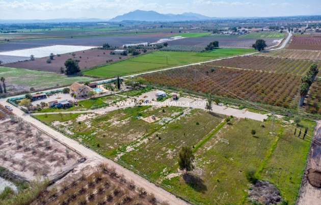 Herverkoop - Country Property/Finca - Crevillente - Crevillent