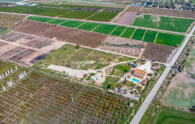 Herverkoop - Country Property/Finca - Crevillente - Crevillent