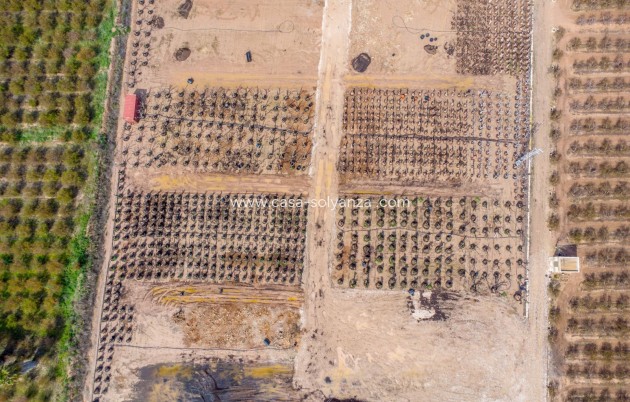 Herverkoop - Country Property/Finca - Crevillente - Crevillent