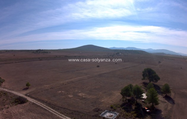 Herverkoop - Land - Yecla - Inland