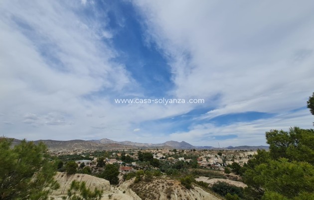 Reventa - Other - Abanilla - Inland