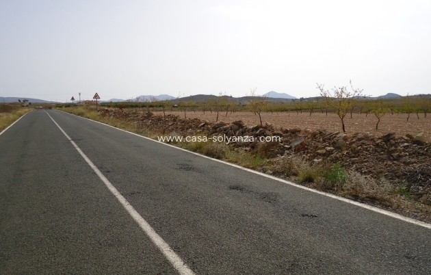 Herverkoop - Land - Canada del Trigo - Inland