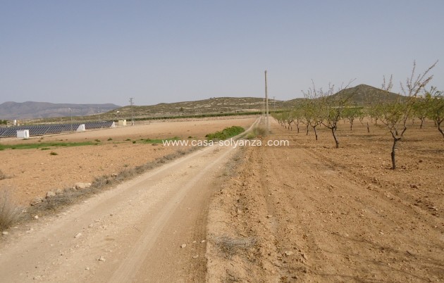 Herverkoop - Land - Canada del Trigo - Inland