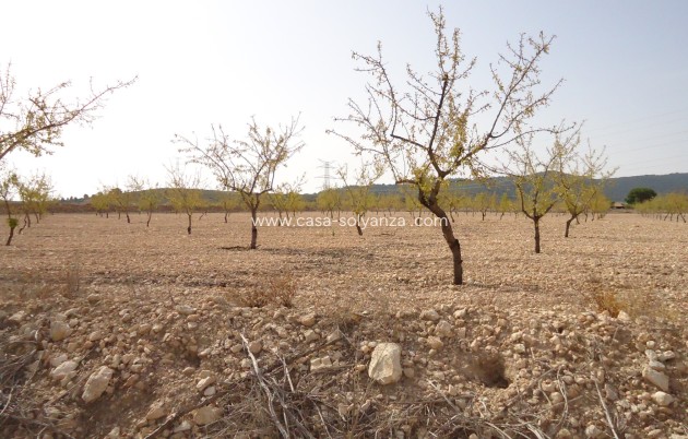 Herverkoop - Land - Canada del Trigo - Inland