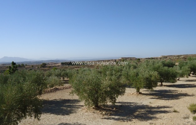 Reventa - Land - Abanilla - Inland