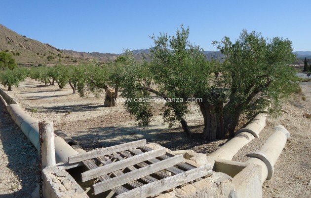 Reventa - Land - Abanilla - Inland