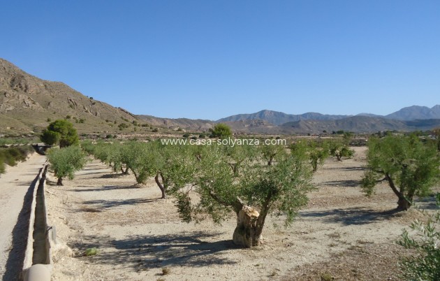 Reventa - Land - Abanilla - Inland